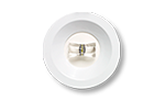 paniklys 01